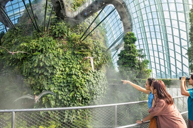 Singapore OCBC Skyway Flower dome Cloud Forest Garden by the Bay - Garden Rhapsody: a free show worth planning around