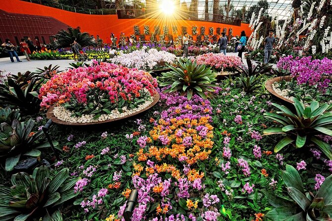 Singapore OCBC Skyway Flower dome Cloud Forest Garden by the Bay - A practical way to arrange your day