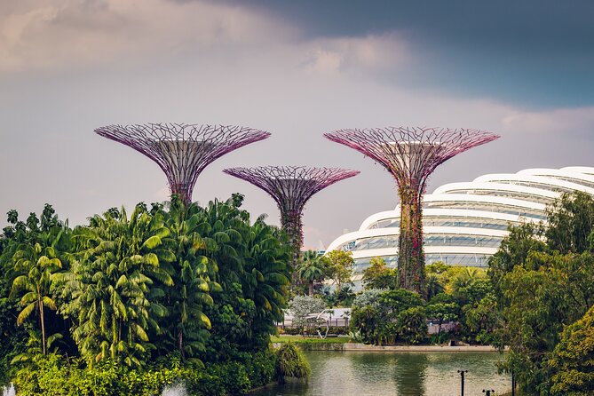 Singapore Private Professional Photoshoot at Gardens by the Bay - Meeting at Starbucks, then getting ready fast