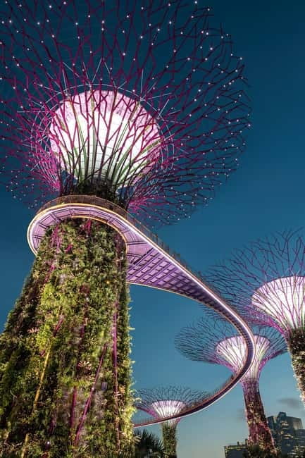 Singapore River Cruise, Garden Rhapsody & Spectra by CYT - The guides are a major part of the value