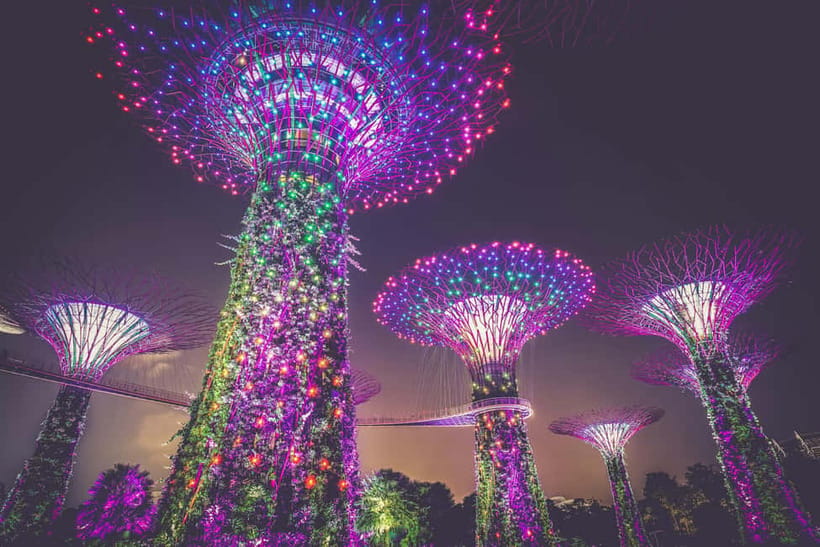 Singapore River Cruise, Garden Rhapsody & Spectra by CYT - Who should book this tour?