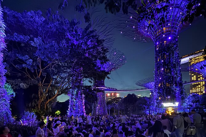 Singapore River Cruise, Night Garden Rhapsody and Spectra Tour - Key points at a glance