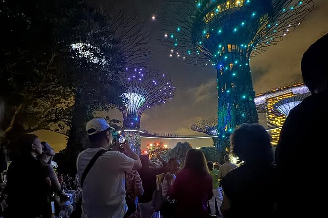 Singapore River Cruise, Night Garden Rhapsody and Spectra Tour - Merlion Park sets the scene