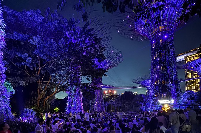 Singapore River Cruise, Night Garden Rhapsody and Spectra Tour - The 30-minute bumboat cruise is the evening’s breathing space