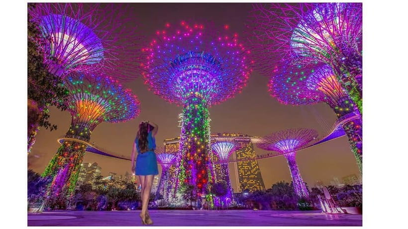 Singapore River Cruise, Spectra & Garden Rhapsody Light Show - Key points to know before booking