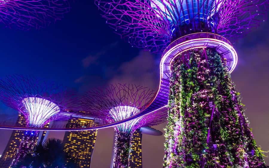 Singapore Starry Night: Cruise, Garden Rhapsody & Spectra - Gardens by the Bay and the Supertrees