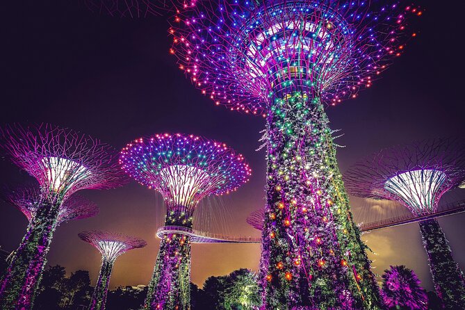 Singapore Starry Night Cruise, Garden Rhapsody & Spectra Show - Why Singapore after dark works so well