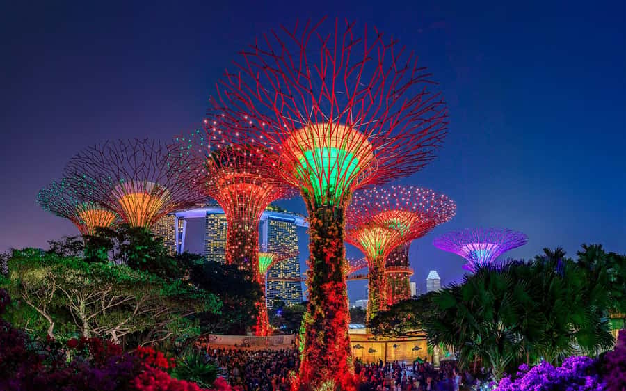 Singapore Starry Night: Cruise, Garden Rhapsody & Spectra - Meeting the Merlion at Marina Bay