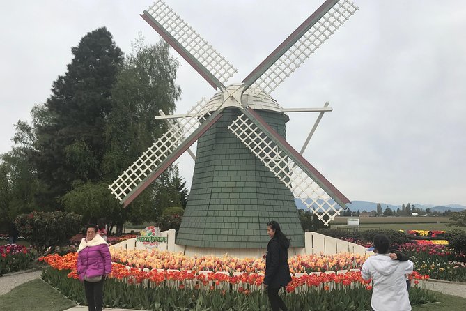 Skagit Valley Tulip Festival Day Tour from Seattle - First flower stop: Tulip Valley Farms