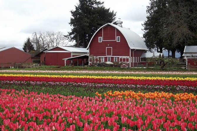 Skagit Valley Tulip Festival Day Tour from Seattle - La Conner gives the day a needed pause