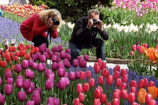 Skagit Valley Tulip Festival Day Tour from Seattle - Meeting at MoPOP before the bus leaves
