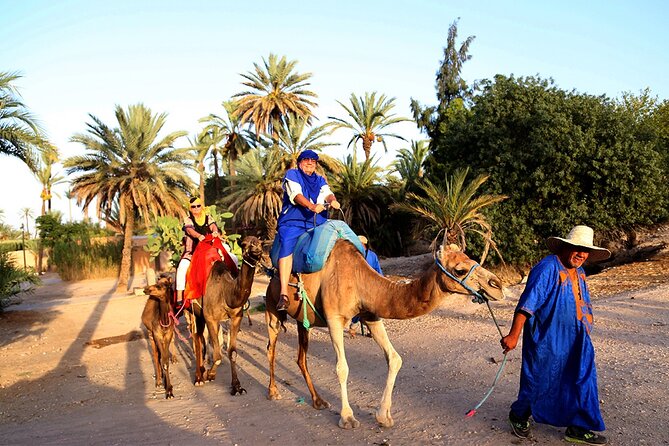 Skip the line at : Majorelle Garden and Palm Garden. - A short Marrakech outing with two very different stops