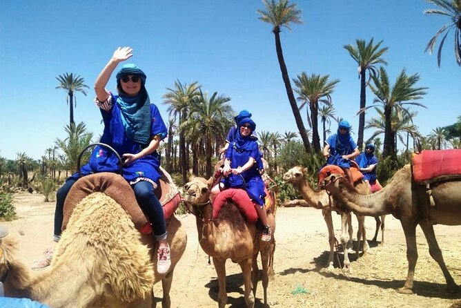 Skip the line at : Majorelle Garden and Palm Garden. - The Atlas Mountains question needs careful attention