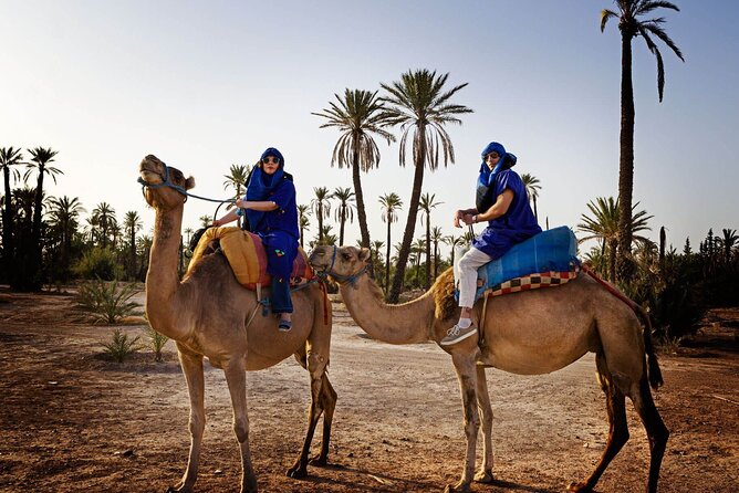 Skip the line at : Majorelle Garden and Palm Garden. - Who will get the most from this experience?