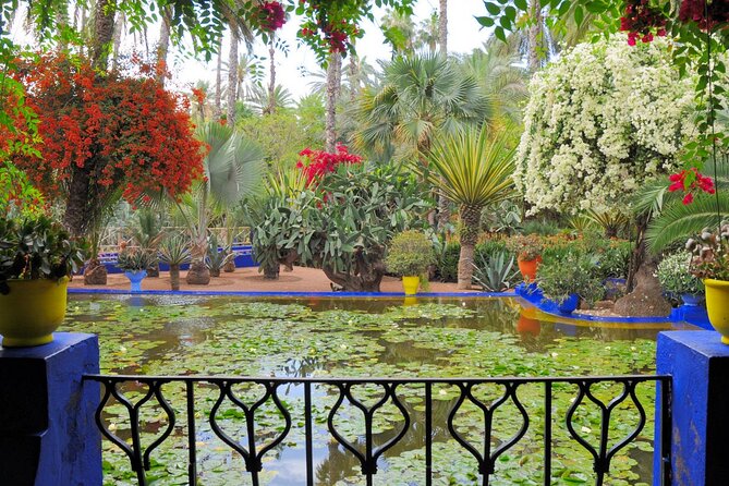 Skip the line at : Majorelle Garden and Palm Garden. - Majorelle Garden: one hour among blue walls and cactus beds
