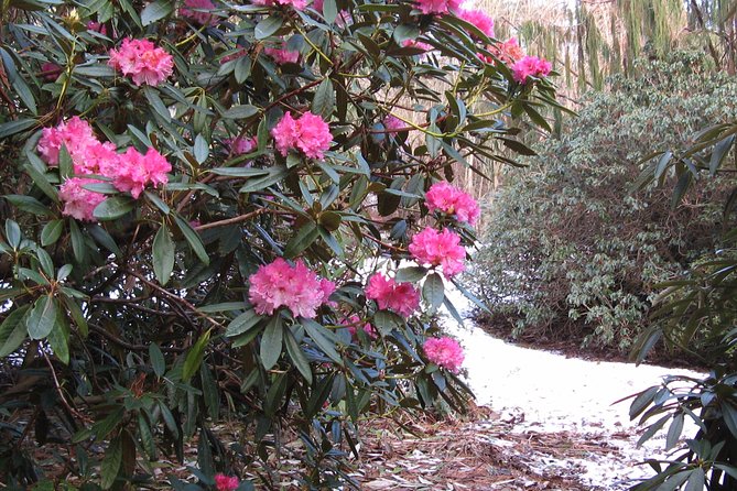 Skip-the-Line: Botanic Garden Entry Ticket - A café stop adds value to the visit