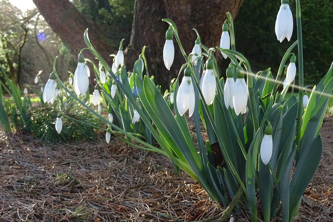 Skip-the-Line: Botanic Garden Entry Ticket - Does the skip-the-line ticket add much?