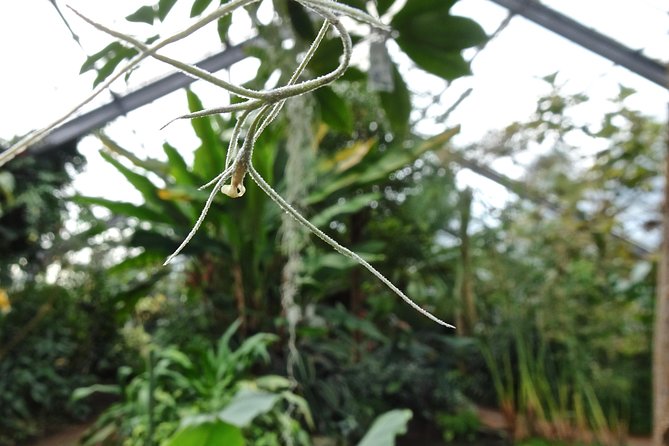 Skip-the-Line: Botanic Garden Entry Ticket - The glasshouses are a key part of the visit