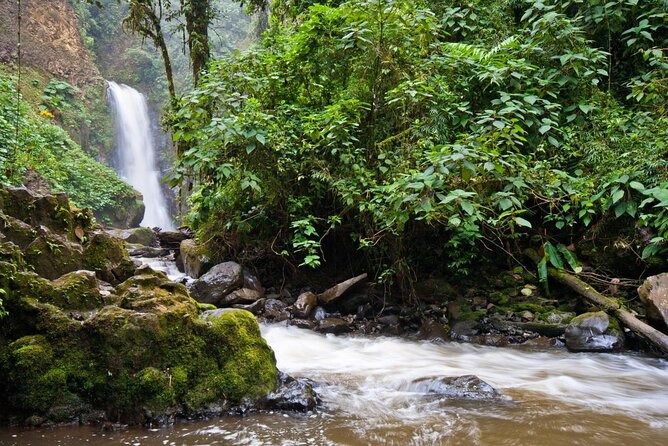 Skip the Line:Day Ticket-La Paz Waterfall Gardens Nature Park & Wildlife Refuge - Key points before you go