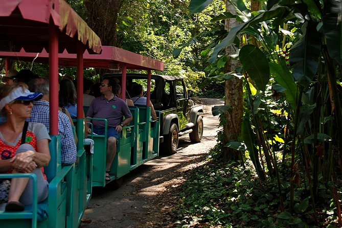 Skip the Line: Flamingo Gardens Admission Ticket in Fort Lauderdale - Look for Flamingos, Peacocks, and Free-Flying Birds