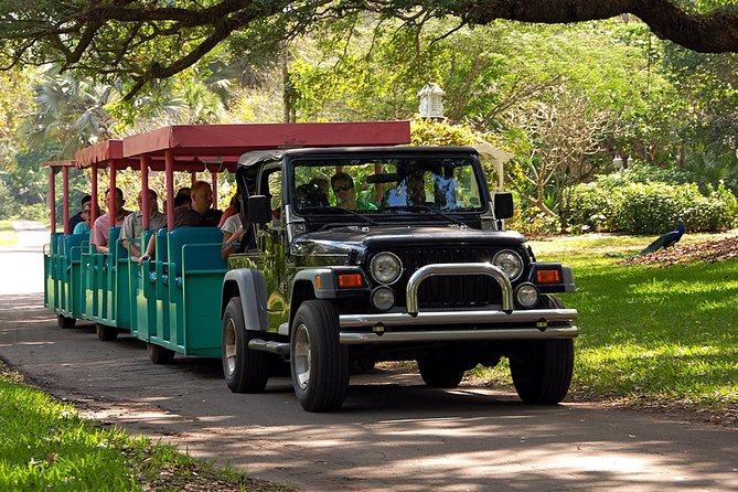 Skip the Line: Flamingo Gardens Admission Ticket in Fort Lauderdale - Wander Through Eight Botanical Gardens