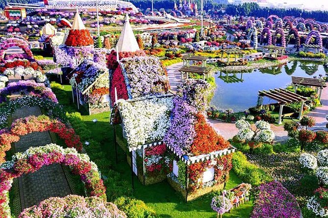 Skip The Line to Dubai Miracle Garden Entry Ticket - Why the irrigation system matters in Dubai