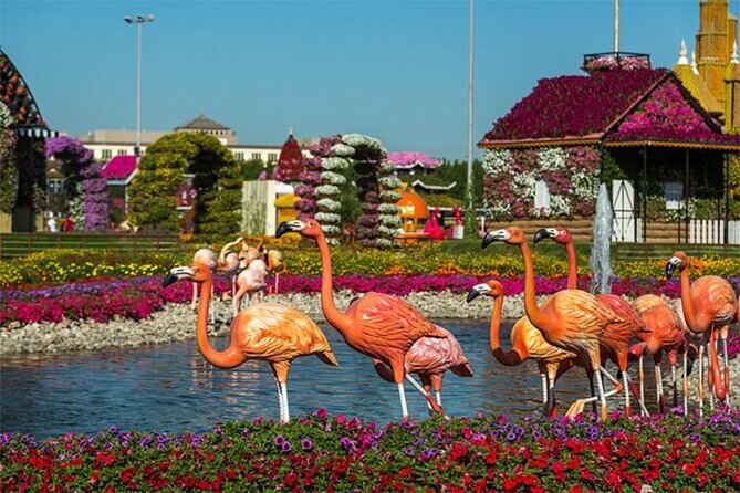 Skip The Line to Dubai Miracle Garden Entry Ticket - The ticket problem to avoid at the entrance