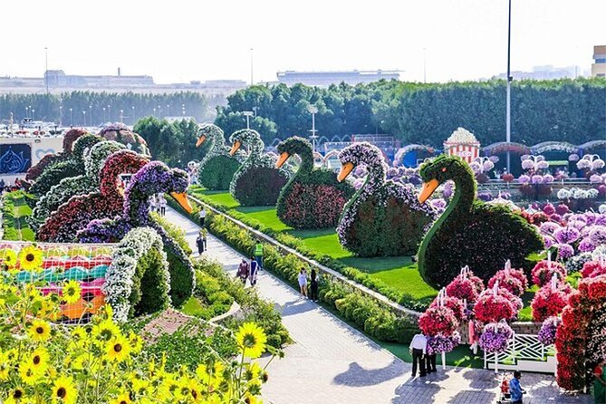 Skip The Line to Dubai Miracle Garden Entry Ticket - From petunias to marigolds: what you will see