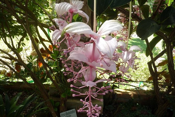 Skip the Line: Vallarta Botanical Garden Admission Ticket - Walking the forest trails, including Jaguar Trail