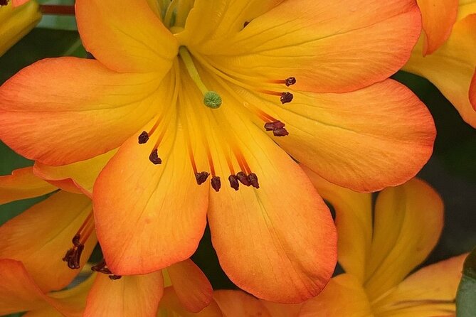 Skip the Line: Vallarta Botanical Garden Admission Ticket - A quiet chapel and small details worth noticing