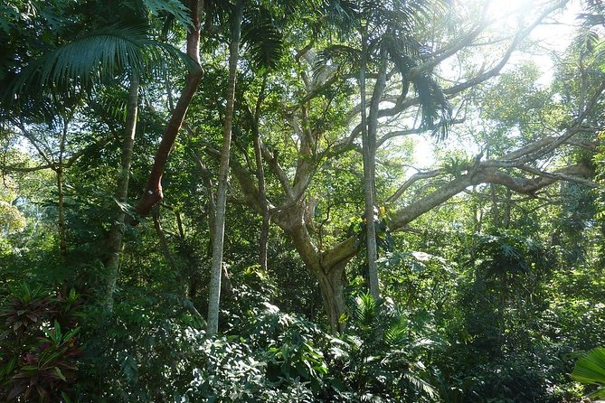 Skip the Line: Vallarta Botanical Garden Admission Ticket - Guided visit in winter and self-guided visits later in the year