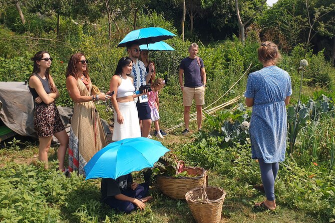 Slowlife Family Farm- Cook with us From Garden to Table Syracuse - A long table under ancient trees
