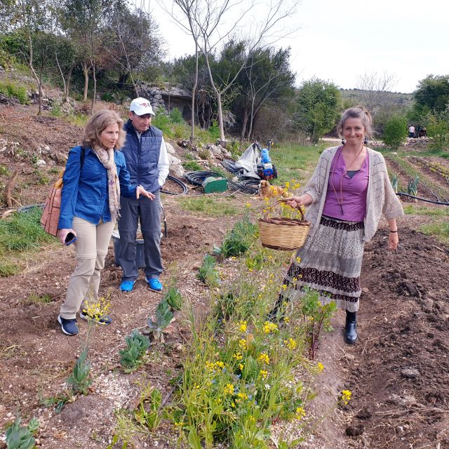Slowlife Family Farm: From Garden to Table - Is $164.26 a fair price?