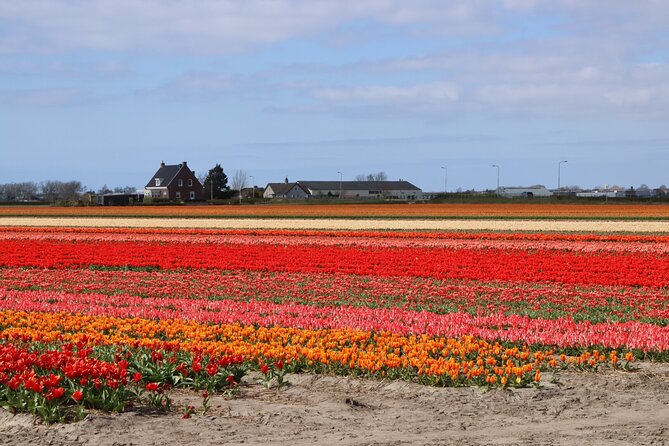 Small Group Keukenhof and Delft Guided Tour from Amsterdam - Starting in central Amsterdam at 9:30