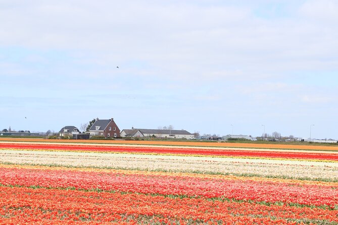 Small Group Keukenhof and Delft Guided Tour from Amsterdam - Delft pottery and a medieval town