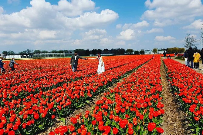 Small Group Keukenhof and Delft Guided Tour from Amsterdam - Guide quality matters more than usual
