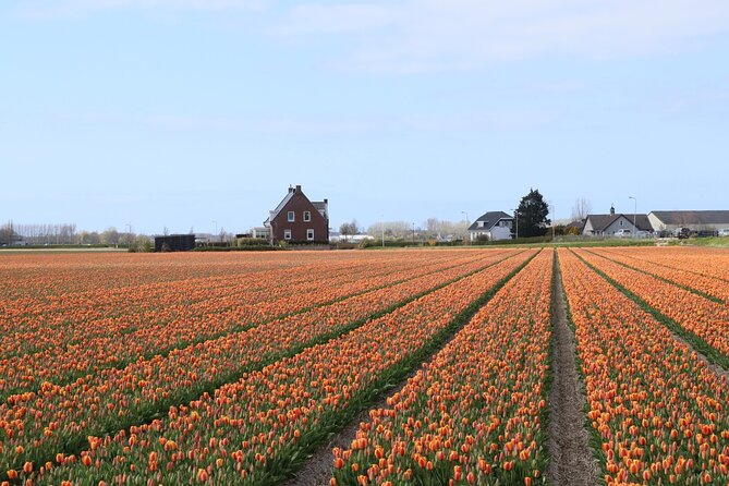 Small Group Keukenhof and Delft Guided Tour from Amsterdam - Who should book this day?