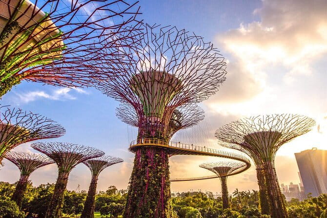 Small Group Singapore Morning City Tour with Gardens By The Bay - Thian Hock Keng Temple: a quieter look at Singapore’s past