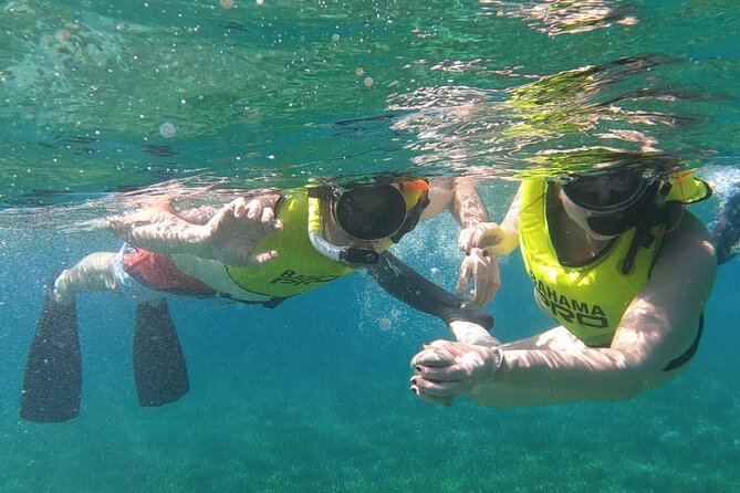 Small-Group Snorkeling Experience at Sea Garden - Key points to know before booking