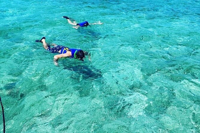 Small-Group Snorkeling Experience at Sea Garden - A protected cove for easier snorkeling
