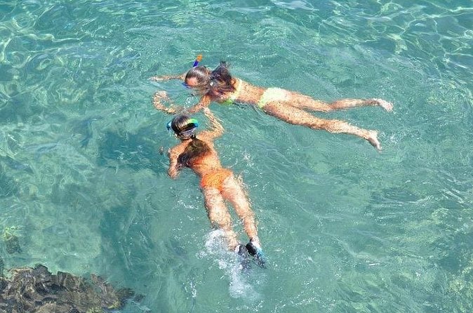 Small-Group Snorkeling Experience at Sea Garden - What the crew adds to the experience