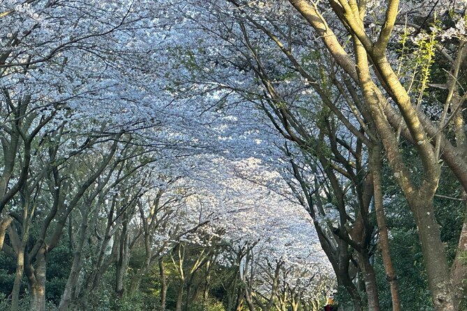 Small Group West Jeju Cherry Blossom and Strawberry Picking Tour - Jusangjeolli puts Jeju’s volcanic past on display