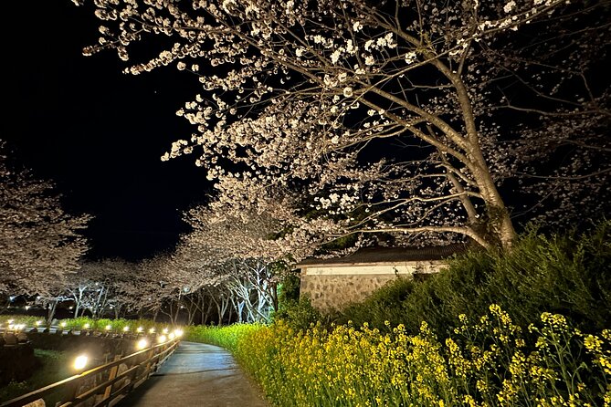 Small Group West Jeju Cherry Blossom and Strawberry Picking Tour - Yerae Eco Park begins with water and flowers