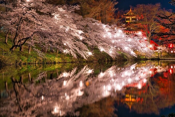 Snow Monkey and Cherry Blossom Illumination Tour (3rd ~19th Apr) - Key points to know before you book