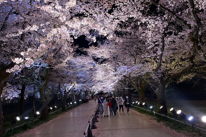 Snow Monkey and Cherry Blossom Illumination Tour (3rd ~19th Apr) - A short pause in Shibu Onsen