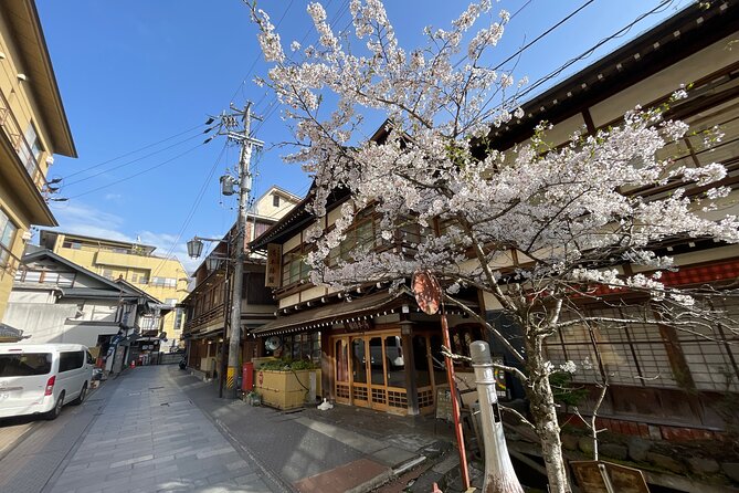 Snow Monkey and Cherry Blossom Illumination Tour (3rd ~19th Apr) - Who will get the most from this tour