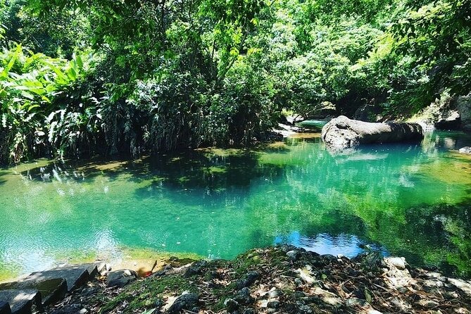 Soma Garden All Inclusive Tropical Fruit Farm Tour - Five things to know before you book