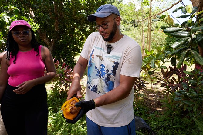 Soma Garden All Inclusive Tropical Fruit Farm Tour - Wandering through the fruit trees for 90 minutes