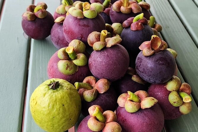 Soma Garden All Inclusive Tropical Fruit Farm Tour - Who will enjoy this half-day outing