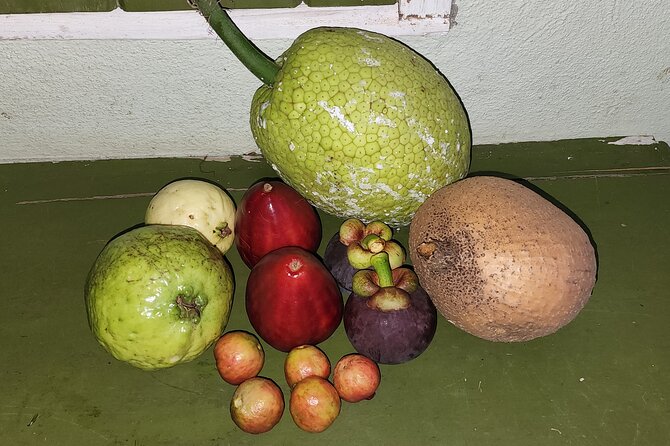 Soma Garden All Inclusive Tropical Fruit Farm Tour - Timing, booking, and weather advice